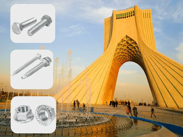 Stainless Steel Hex Nuts in Iran