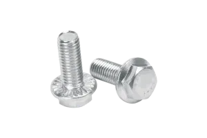 Stainless Steel Flange Bolts and Nuts