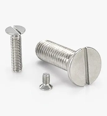 SS Slotted Countersunk Head Screws